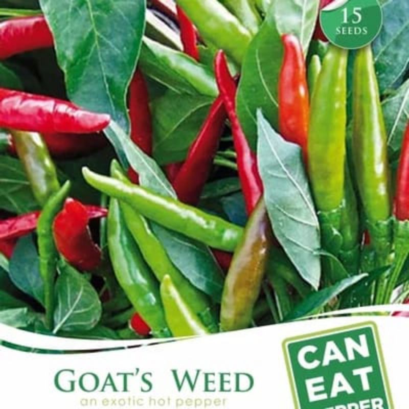 

1 pack Cabai Excotic GOAT WEED