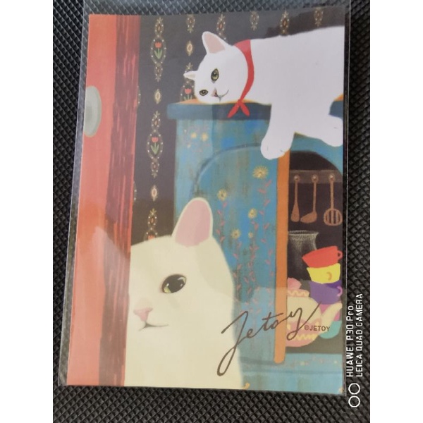 

kartu pos kucing jetoy/jetoy cat postcard