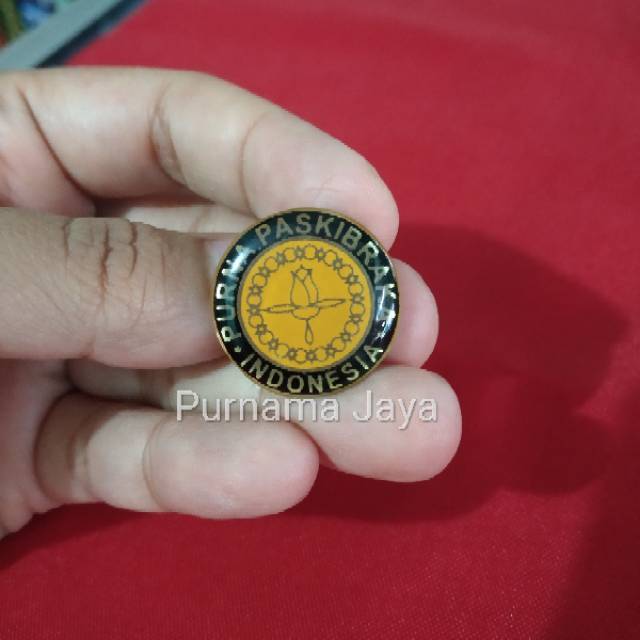 PIN PURNA PASKIBRAKA INDONESIA, Pin PPI