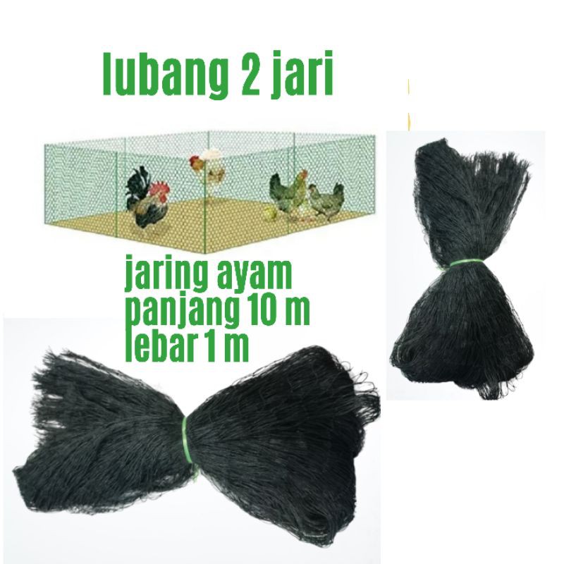 Jaring ayam jaring pagar ayam lubang 2 jari  Jaring pagar kebun jaring tanaman