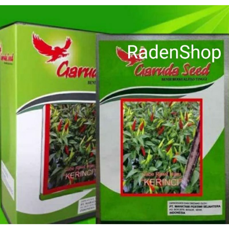 Benih Cabe Rawit Hijau KERINCI | Bibit Cabe Rawit Hijau | Cabe Rawit Hijau | Benih Sayuran