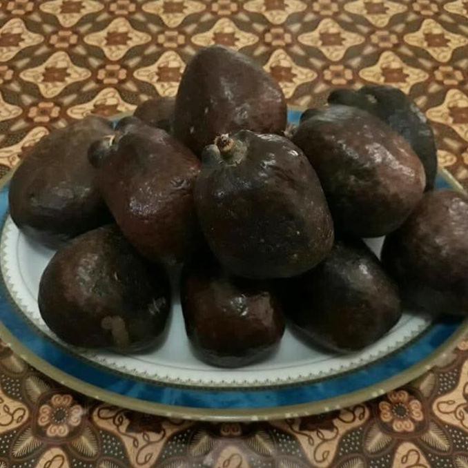 

Pyirf585- Buah Zuriat Penyubur Kandungan Per 1Kg Bukan Kurma Muda 868S