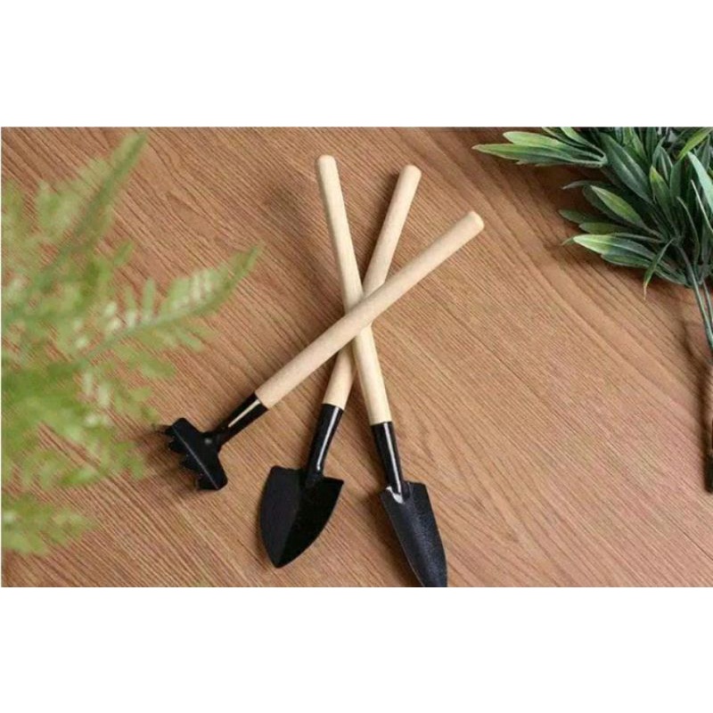 Sekop Alat Tanam Kaktus Mini 3pcs satu set