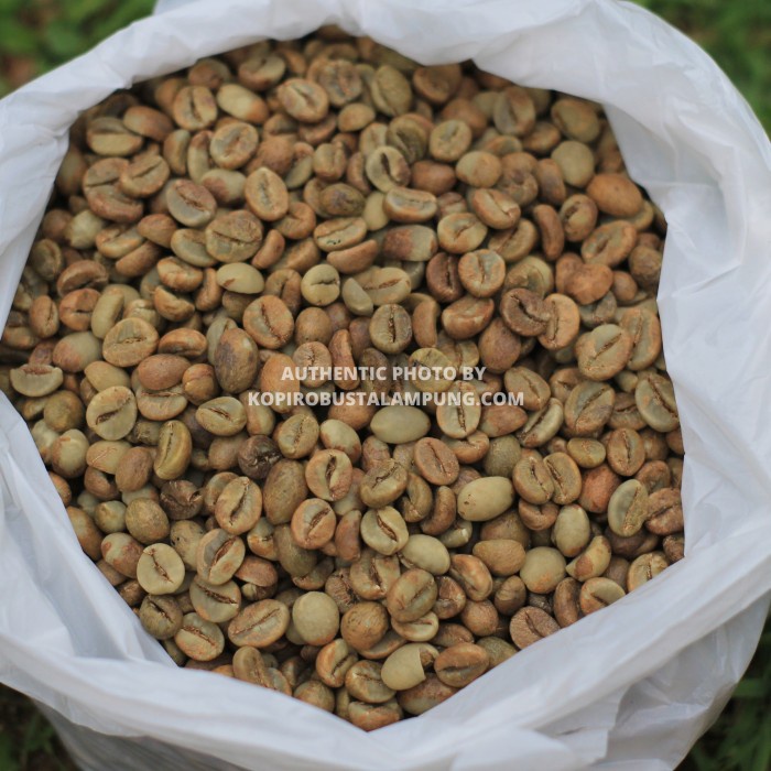 

vf0100f Green Bean Robusta Lampung Petik Merah - Natural Process Ds20X11