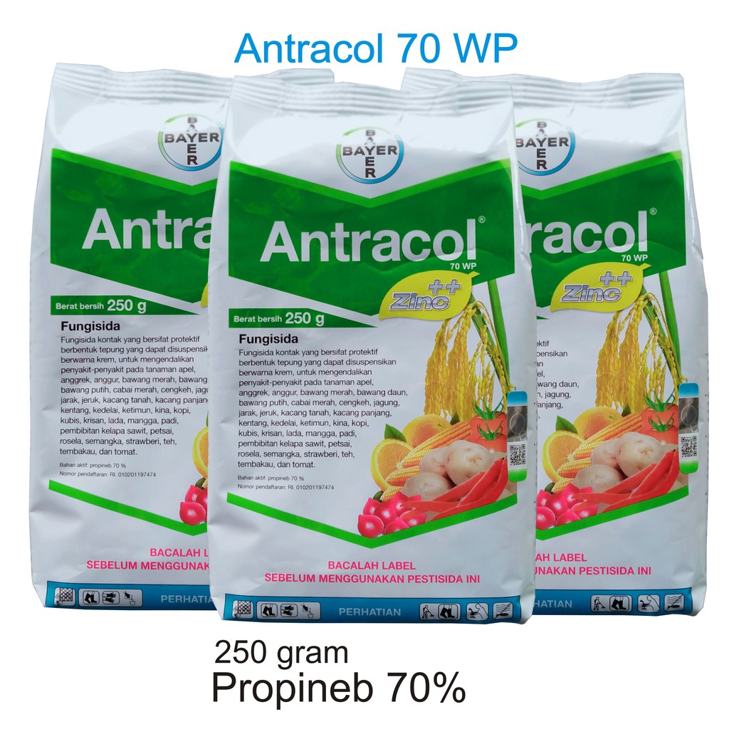 Fungisida Antracol 250 Gram Bahan Aktif Propineb 70%