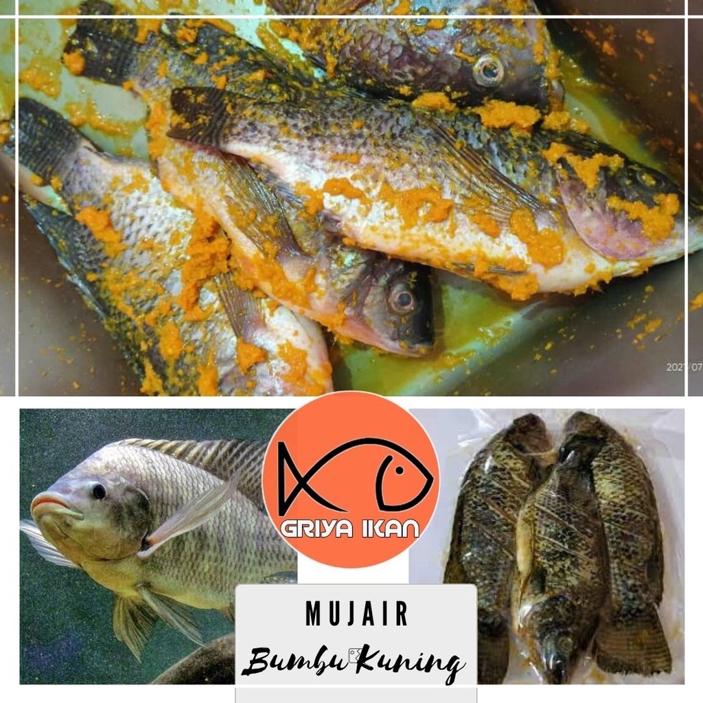

IKAN MUJAIR BUMBU KUNING