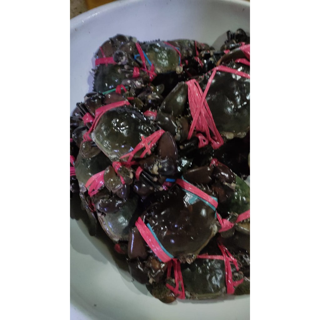 

Kepiting Telur - 1Kg
