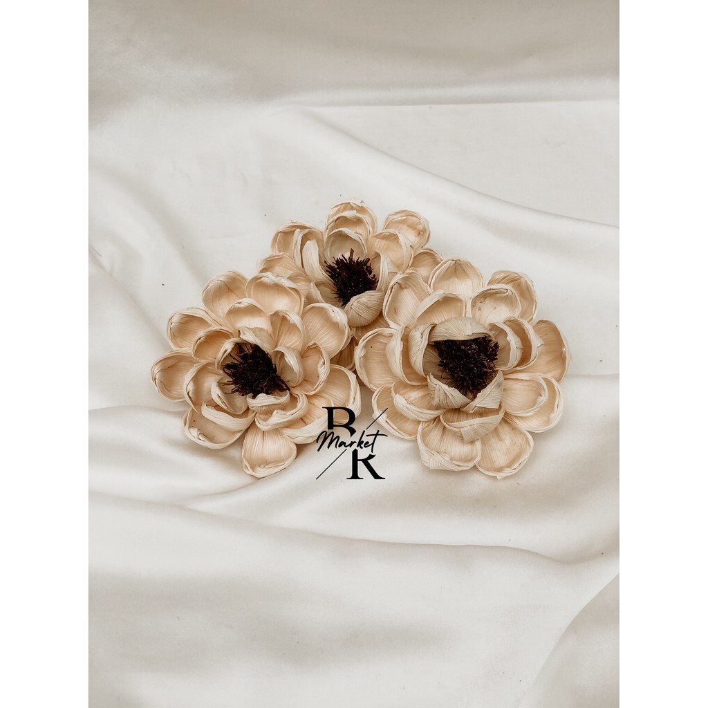 Dried Flower / Bunga Klobot Matahari