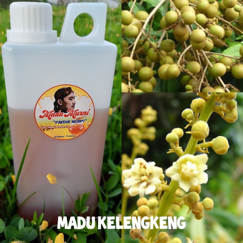 

MADU NGANU 1000GR - KELENGKENG