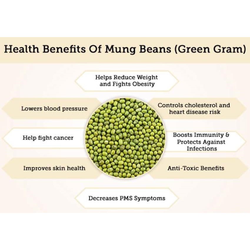 KACANG HIJAU 100GR - BIJI GREEN GRAM MUNG BEAN BEANS ORGANIC - ORGANIK KACANG IJO MOONG DAL MPASI