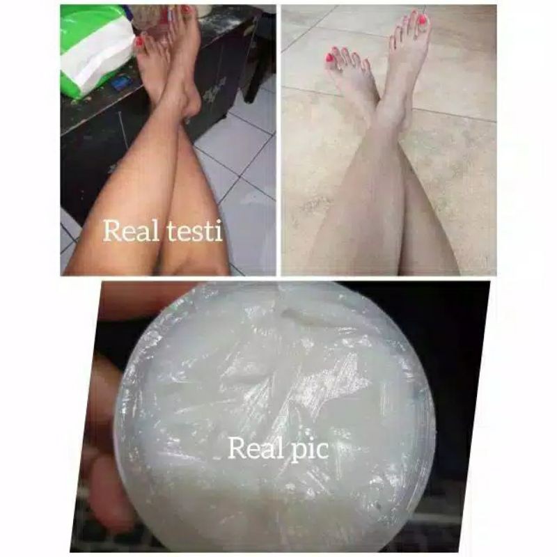 Bibit Pemutih Cepuk Original ( Grade A )