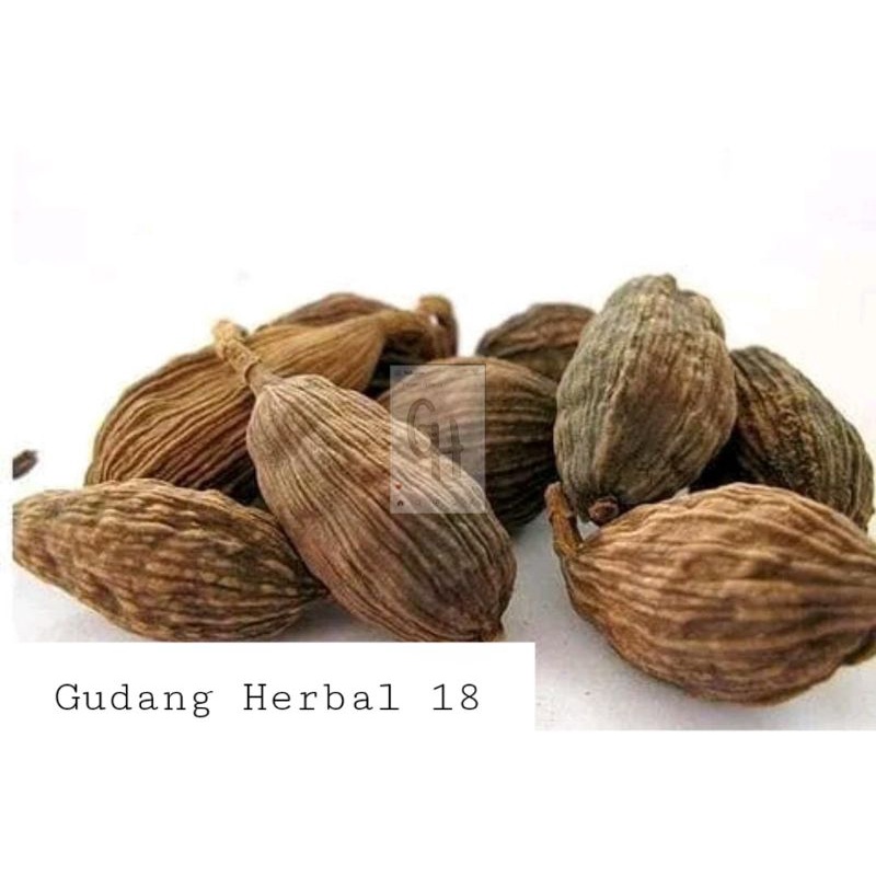 

Cao Guo Ren 100 Gram 草果仁 Black Cardamom Kapulaga Hitam Tsaoko Amomum Fruit - CHO KO JIN