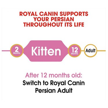 ROYAL CANIN PERSIAN KITTEN GOLD 400GR/royal canin persian kitten gold 400gr/FRESH PACK