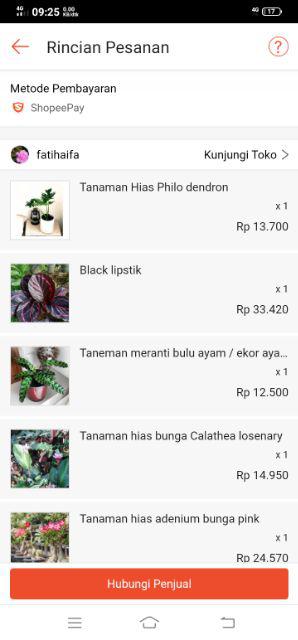 Tanaman Hias Srigading Lemon Srigading Tanaman Hias