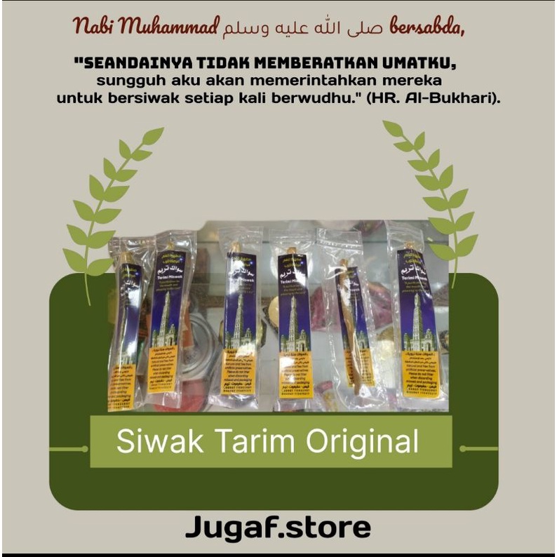 Siwak Tarim // Tarimi Miswak