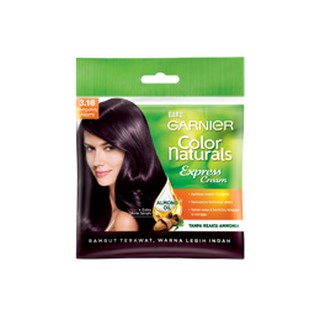  Garnier  color cat  rambut  sachet  model shampoo Shopee 