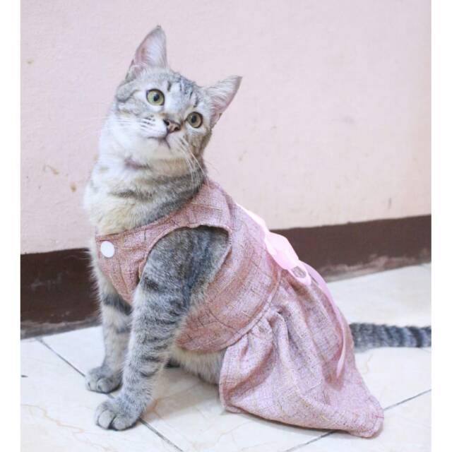 Dress coklat lucu untuk kucing dan anjing size S M L XL