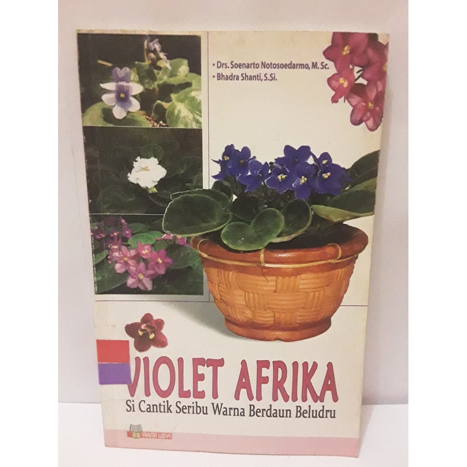 BUNGA - VIOLET AFRIKA