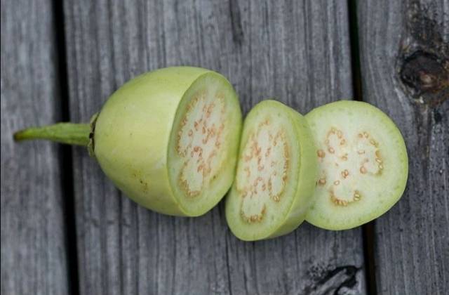 25 Biji - Benih Terong Pondoh RONGGO buah lonjong kehijauan