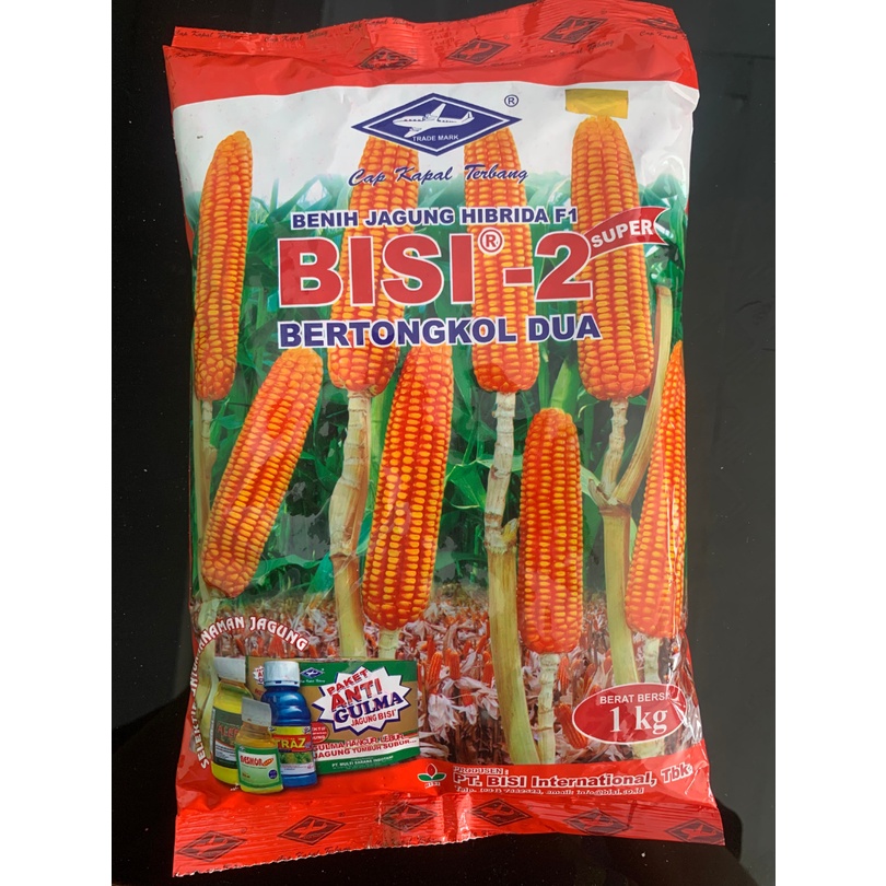 Bibit Jagung Bisi 2 Cap Kapal Terbang