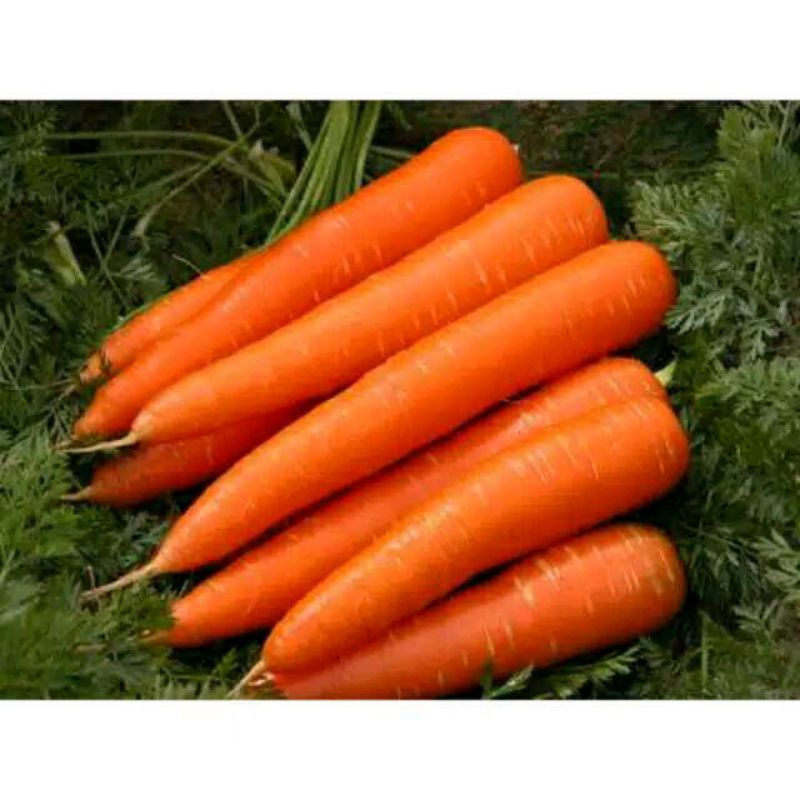

❤ SEMBAKO MURAH ❤ Wortel Import Fresh Segar Kiloan Pasar Murah Bekasi