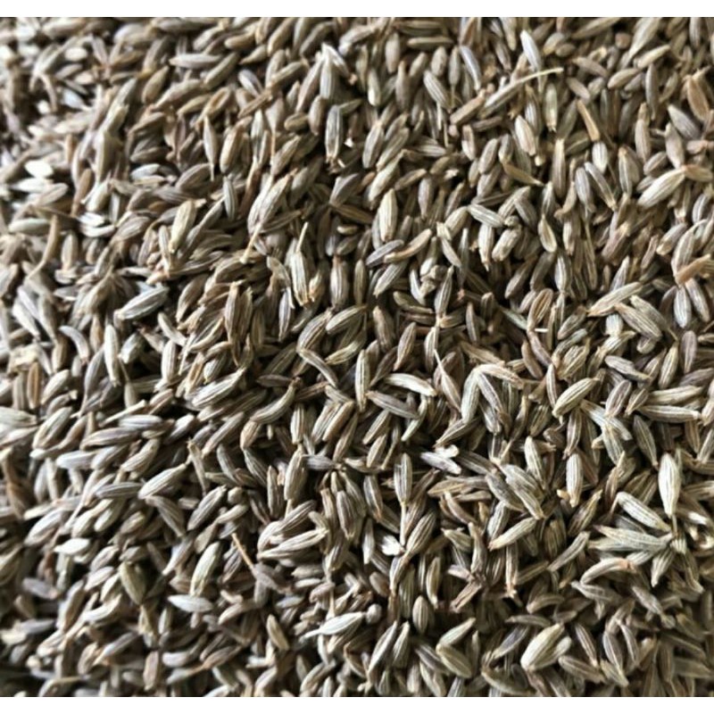 

jintan ,jintan putih 500gram