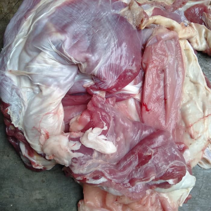 

Daging Sop 1/2 kg