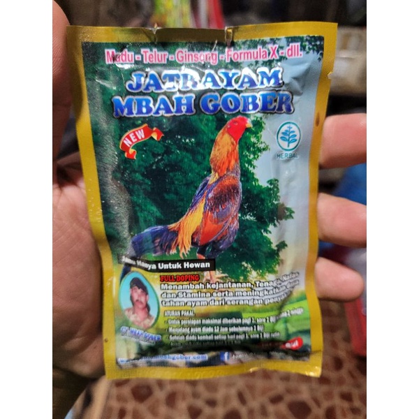 jamu ayam mbah gober