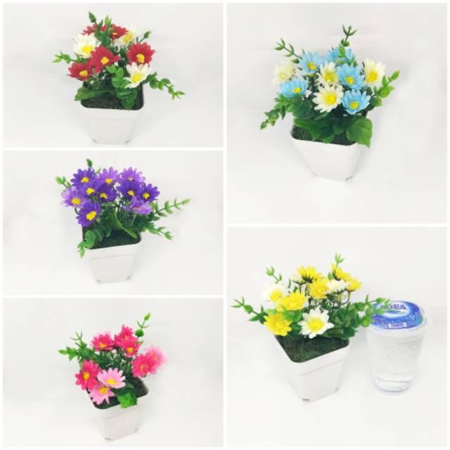 Mini daisy bunga  imitasi pot  kotak plastik  mini Shopee  