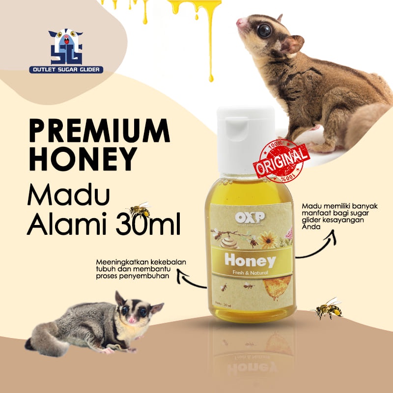 PREMIUM HONEY Madu Alami Kesehatan Hewan SugarGlider 30ml