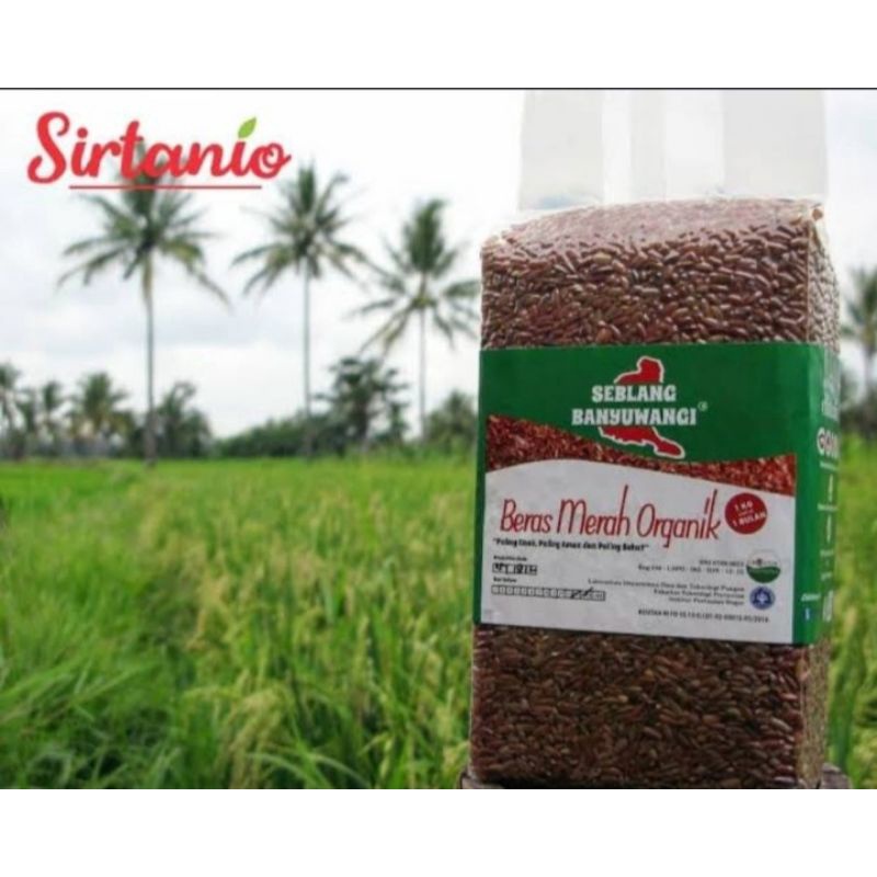 

Beras Merah Organik 1 kg Beras Merah Seblang Banyuwangi Beras Merah Murah Beras Merah Beras Merah Organik Beras Merah Diet