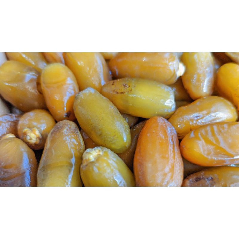 

RUTHOB LIBYA 500 GRAM - KURMA RUTHOB - RUTHOB LIBYA MURAH