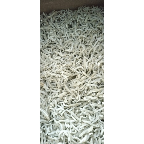 

teri medan/teri nasi asli tanpa pengawet