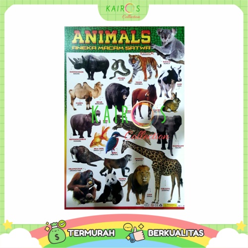 Poster Anak Edukasi Belajar Animal Binatang