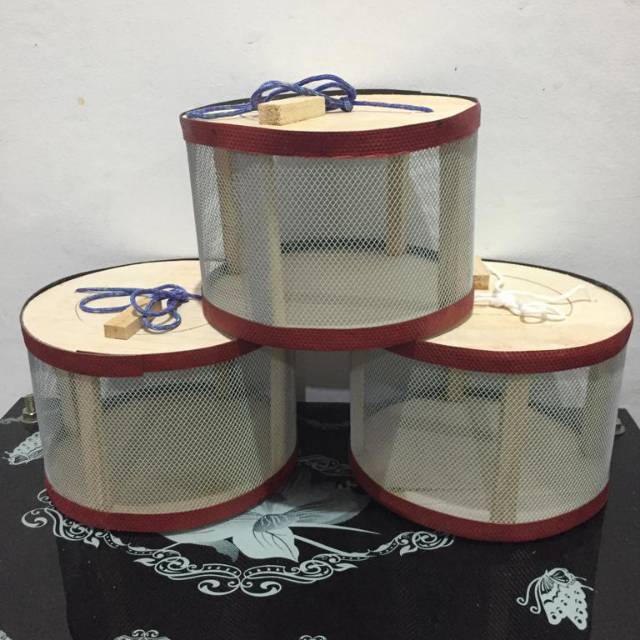 Kandang jangkrik mini