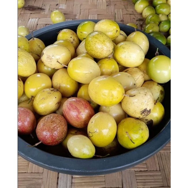 Jual Buah Markisa Konyal Seger 1kg Indonesiashopee Indonesia 