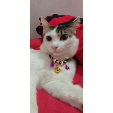 kalung kucing black lonceng 3 nyaring bunyinya mewah dan elegan