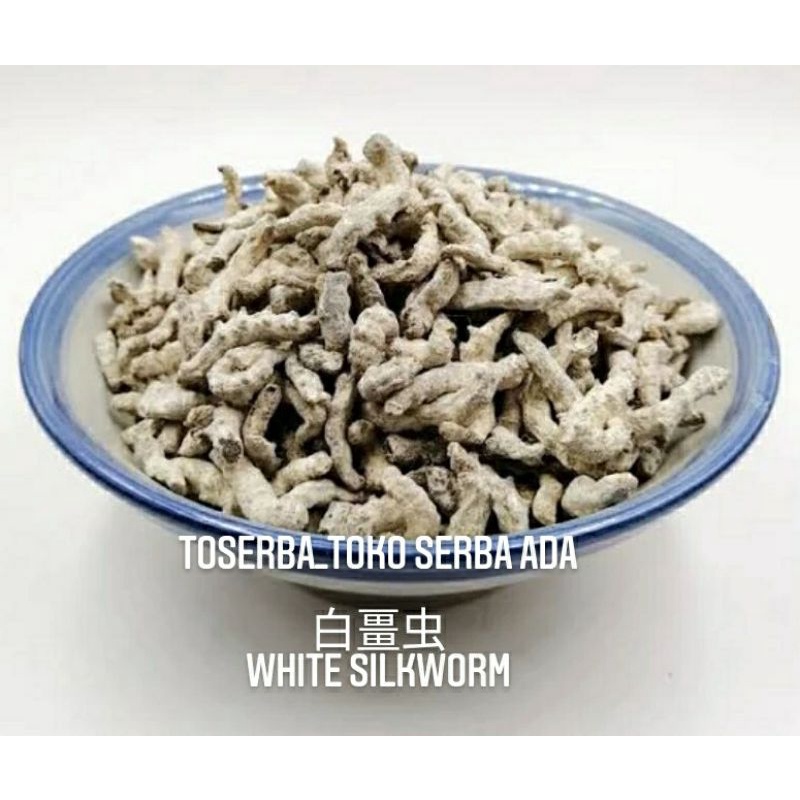 

100gr Herbal Bai Jiang Can 白僵蚕 White Silkworm