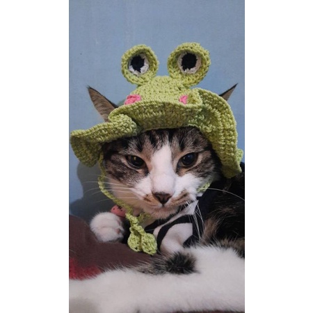 TOPI  KUCING RAJUT