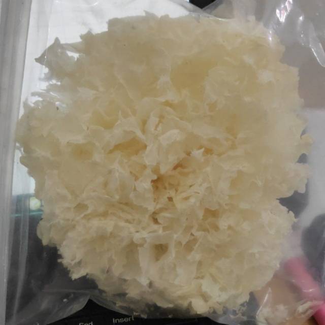 

Jamur Es untuk Panas Dalam, Sup Jamur Salju Bai Mu Er