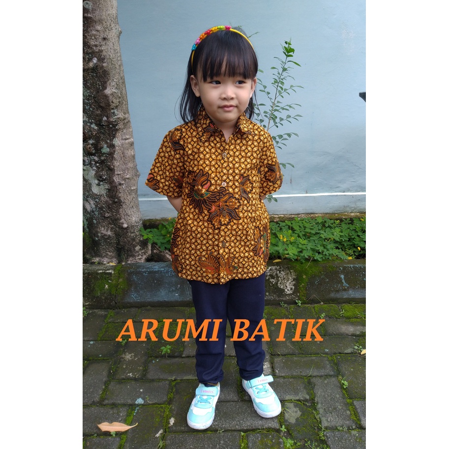 Kemeja Anak Laki Laki Perempuan Seragam Sekolah Batik 2814 Sogan