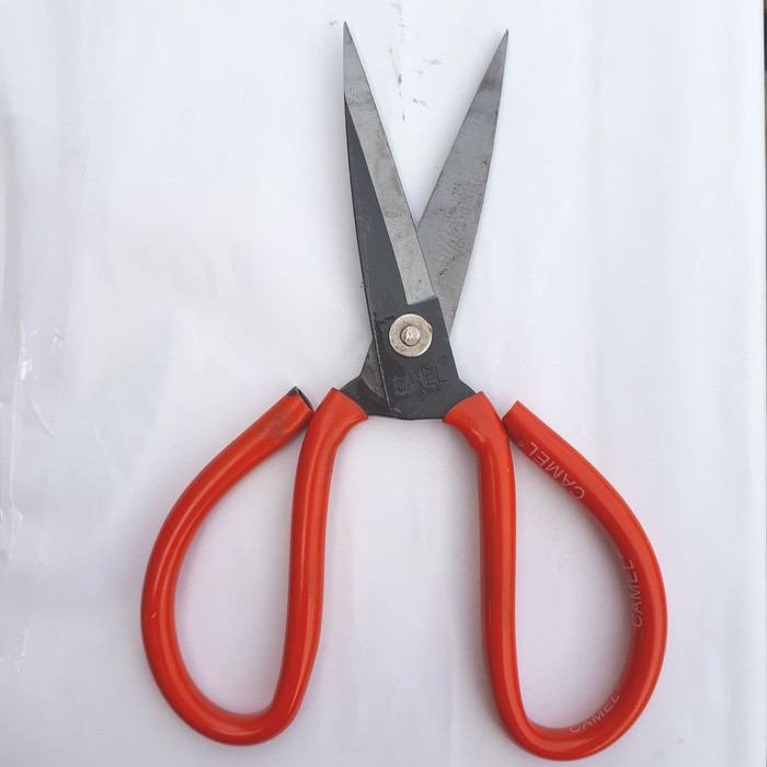 

Terlaris Gunting Kodok CAMEL Best Seller Keren