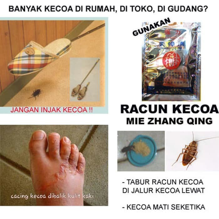 (COD) Anti Kecoa AMPUH membunuh Kecoa / Racun obat bikin serangga mati