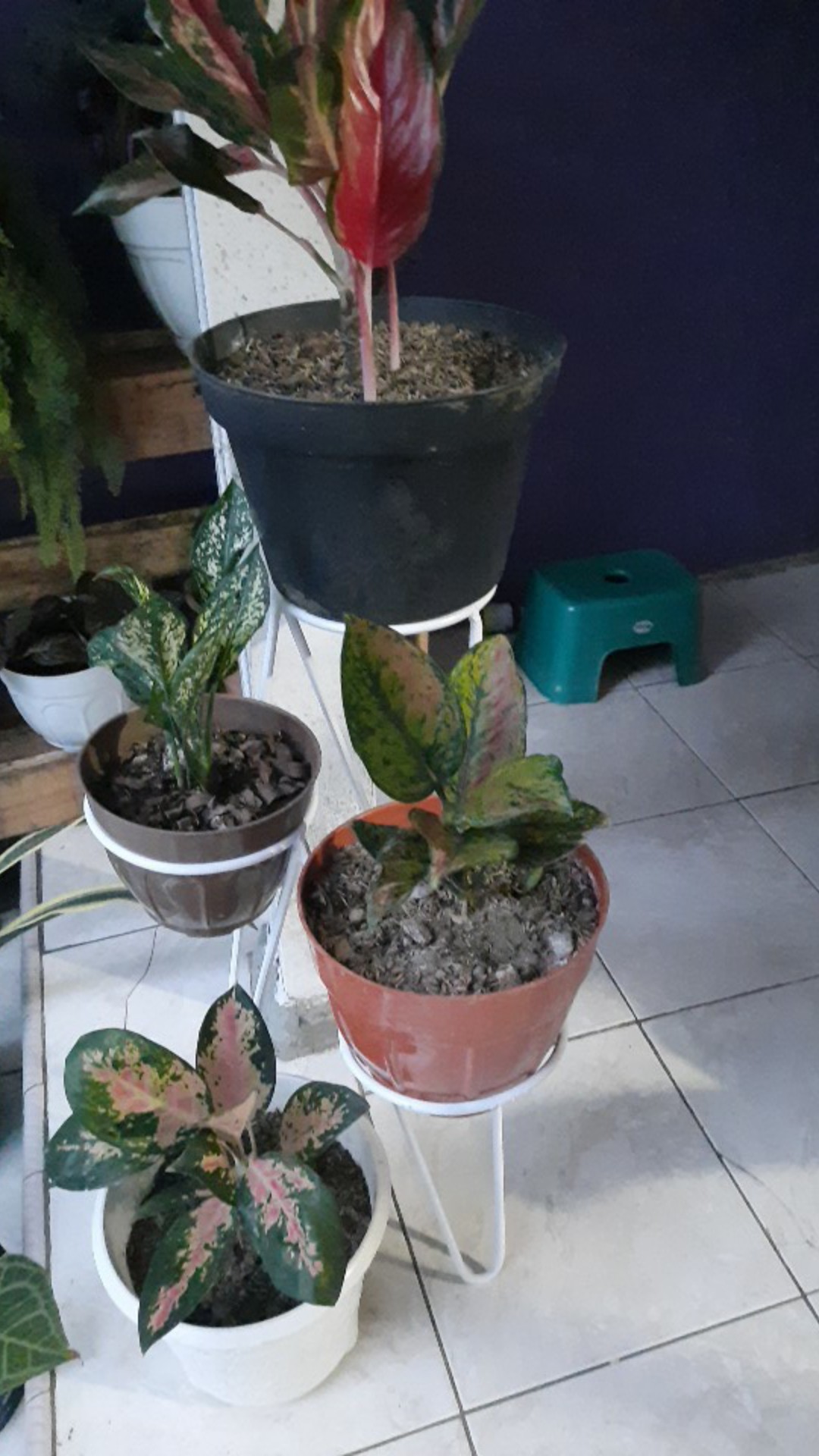 Standing Pot Bunga 3 In 1