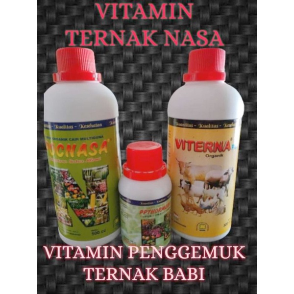 Vitamin Penggemuk Ternak Babi Paket Vitamin Ternak Nasa