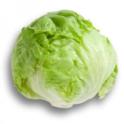 1000 Pill - 1000 Seed Benih Bruma Rz Iceberg Bruma Rz Bruma