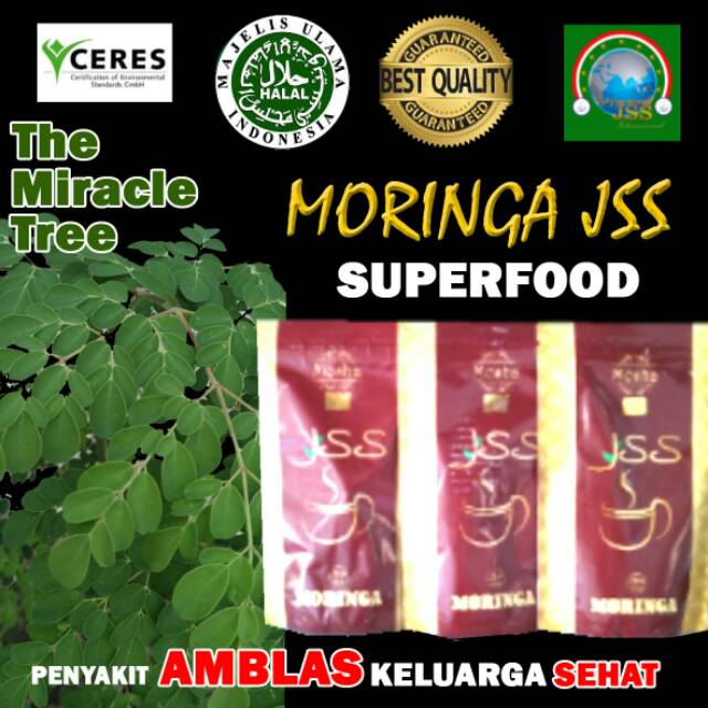 

Moringa jss