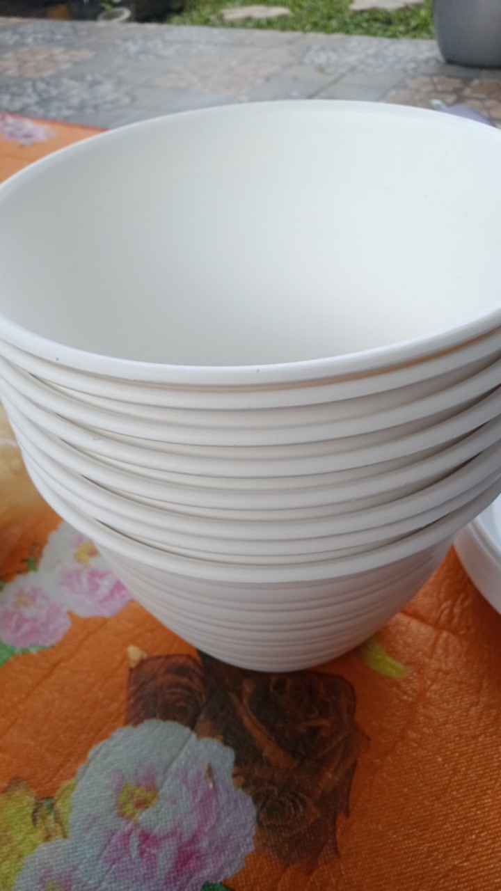 Pot Bunga Tanaman Tawon Putih 18cm +tatakan Bawah