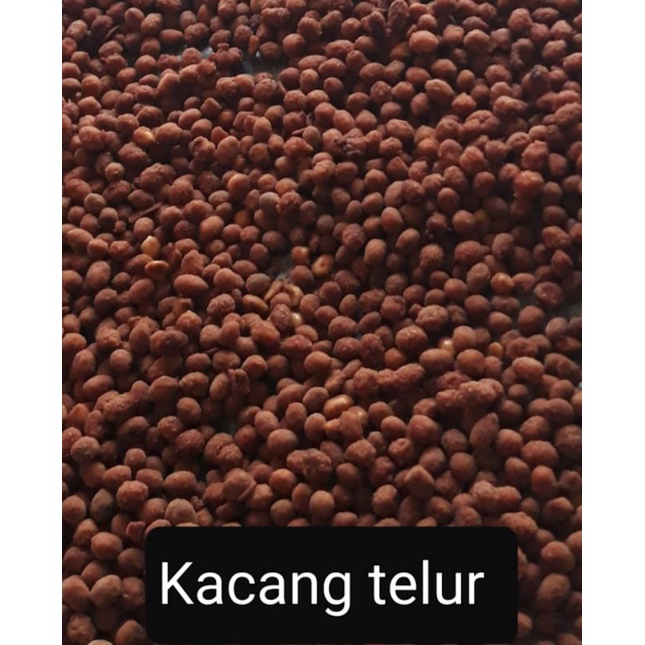 

Kacang telur