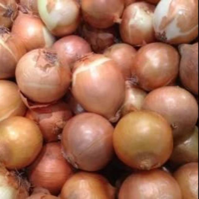 

Bawang Bombay Super